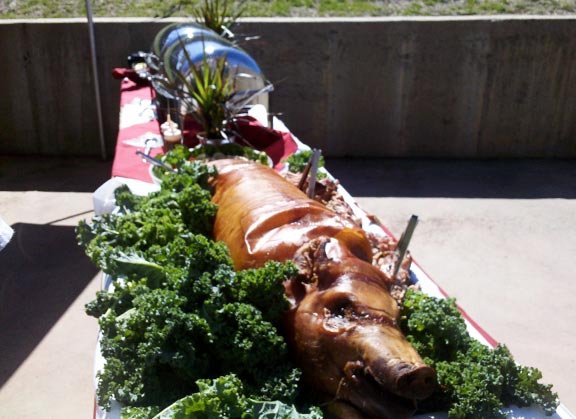 OH-7 - BBQ News