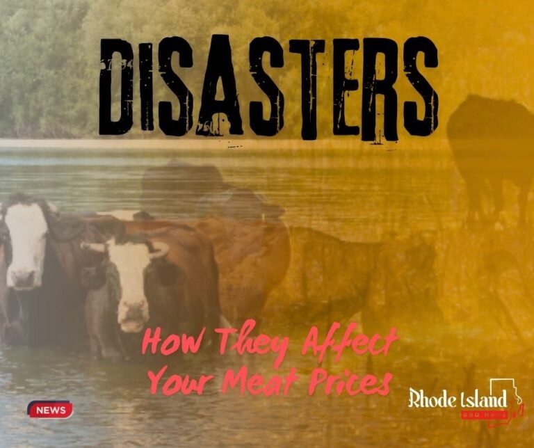 How US Natural Disasters Affect Your Beef Price?