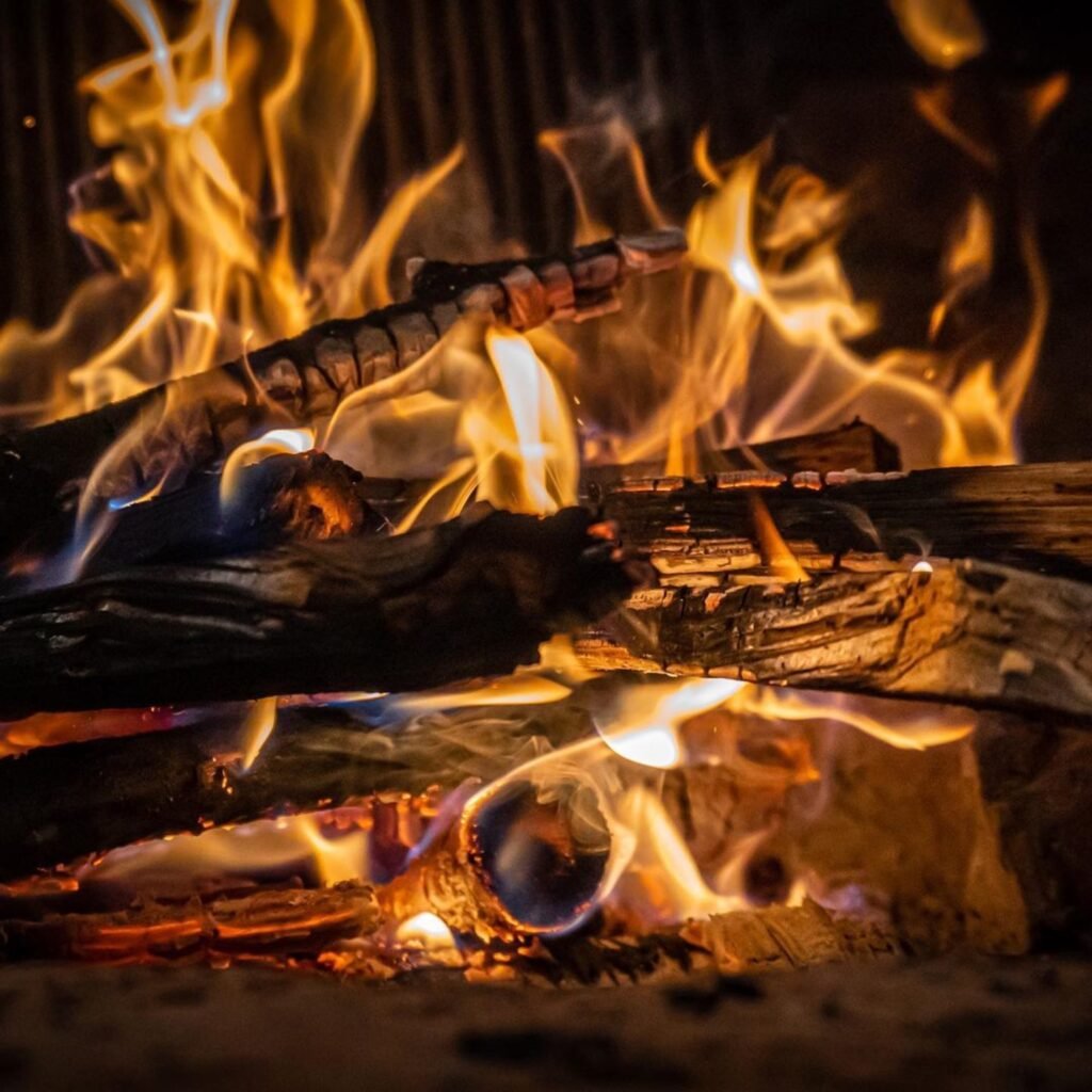 burning-firewood-embers-with-bright-orange-flames-2026-03-16-00-07-08-utc