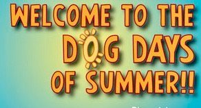 The Dog Days of Summer!